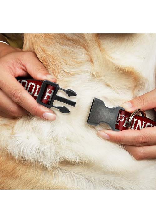 Springwood High Freddy Krueger Pet Plastic Collar - US 0715