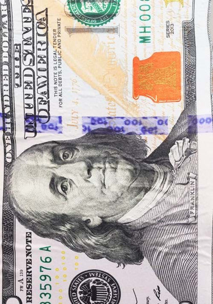 100 Dollar Bill Costume for Adults - US 5614