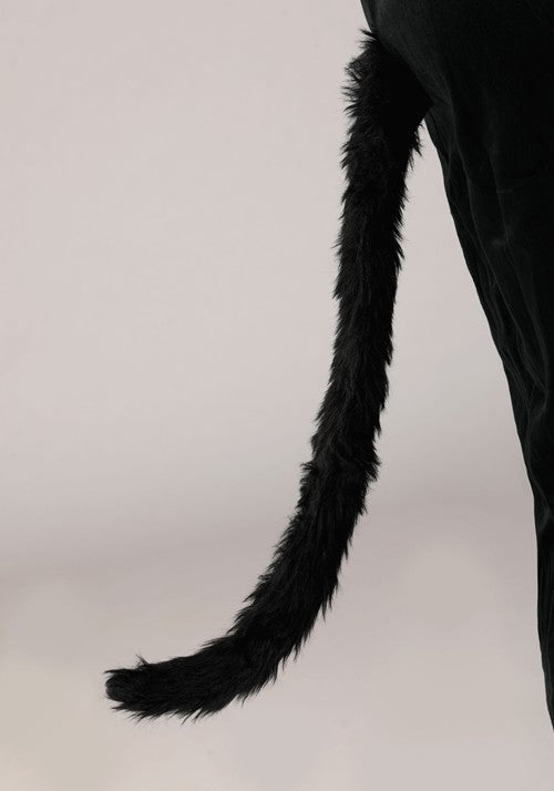 Adult Black Cat Costume - US 3499