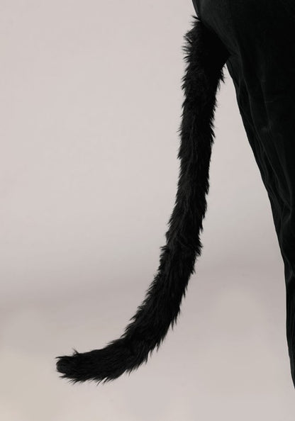 Adult Black Cat Costume - US 3499