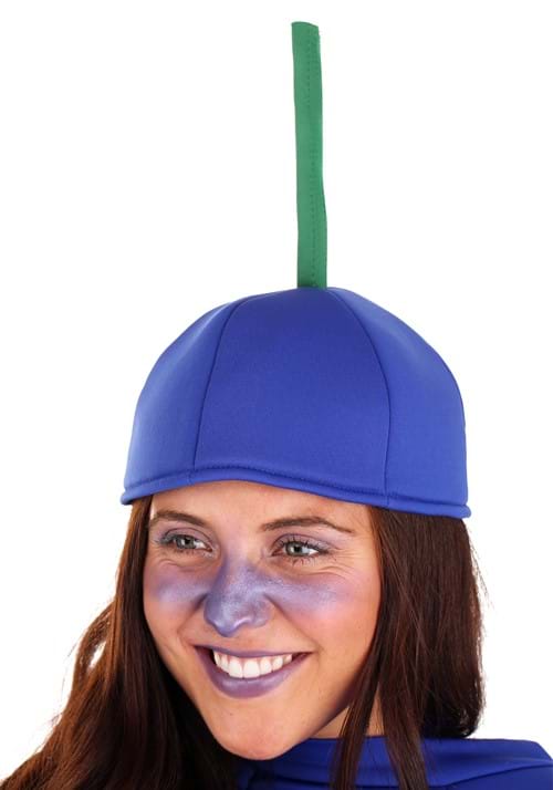 Adult Blueberry Costume - US 1238