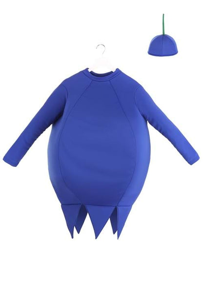 Adult Blueberry Costume - US 1238