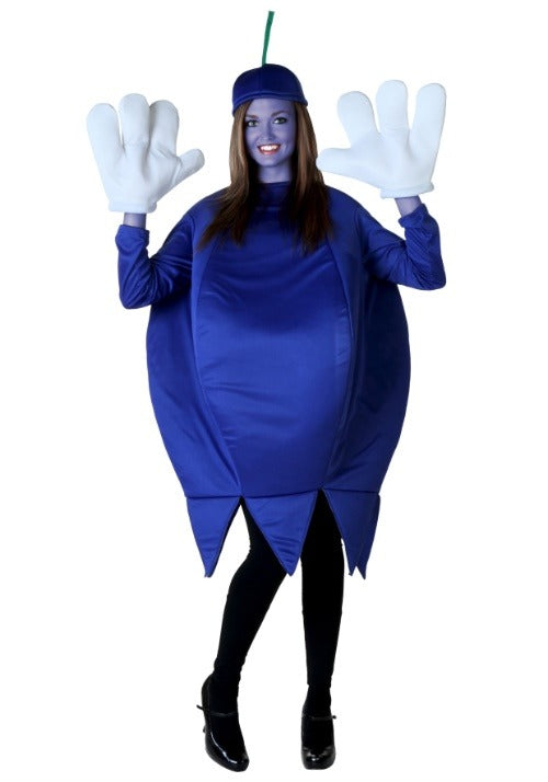 Adult Blueberry Costume - US 1238