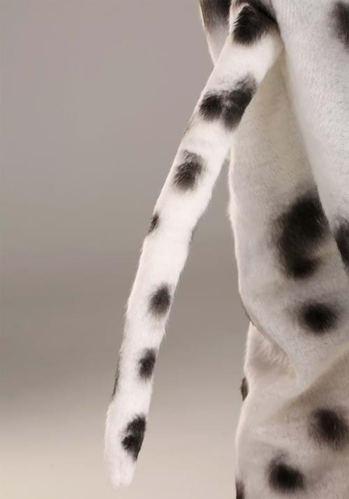 Dalmatian Mascot Suit With Mouth Mover Mask for Adults - US 3652