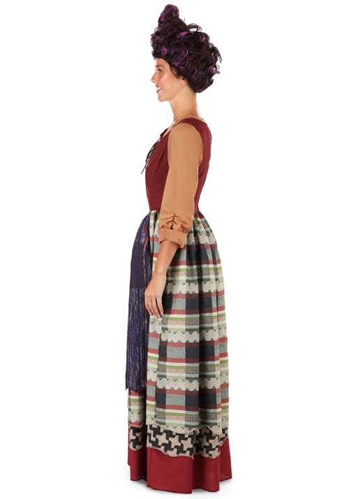 Deluxe Disney Hocus Pocus Mary Sanderson Costume for Women - US 7880