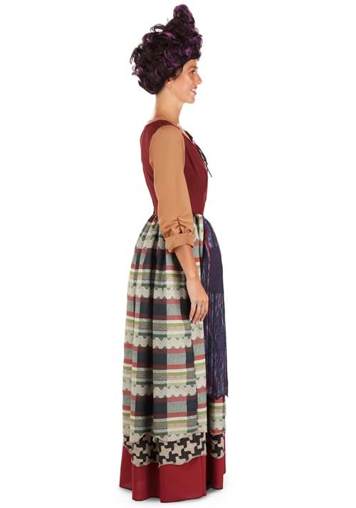 Deluxe Disney Hocus Pocus Mary Sanderson Costume for Women - US 7880