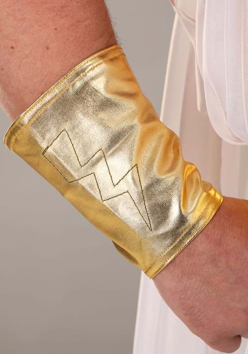 Deluxe Zeus Costume for Men - US 0827