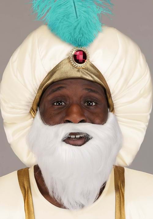 Disney Aladdin Sultan Costume for Men - US 9979