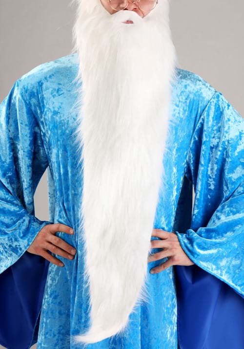 Disney The Sword in the Stone Merlin Costume for Men - US 0156