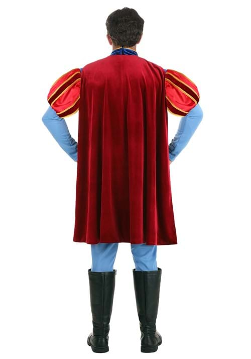 Disney Sleeping Beauty Prince Phillip Costume for Men - US 6018