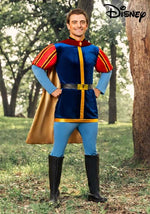 Disney Sleeping Beauty Prince Phillip Costume for Men - US 6018