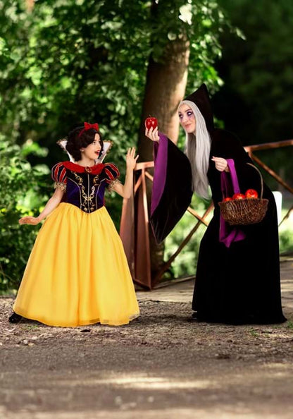 Disney Snow White Witch Costume for Women - US 9301