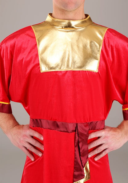 Disney Emperor's New Groove Kuzco Men's Costume - US 4959