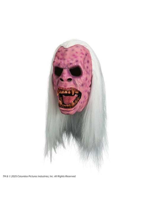 Adult Ghostbusters Library Ghost Premium Mask - US 1110