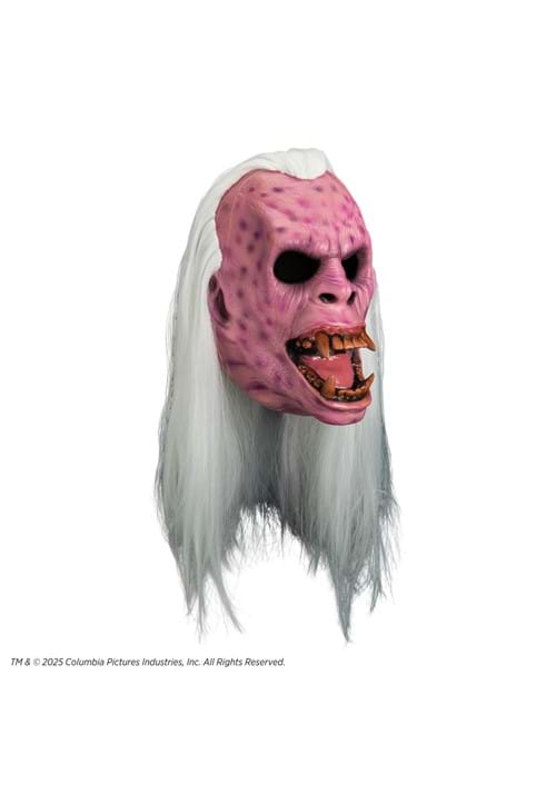 Adult Ghostbusters Library Ghost Premium Mask - US 1110