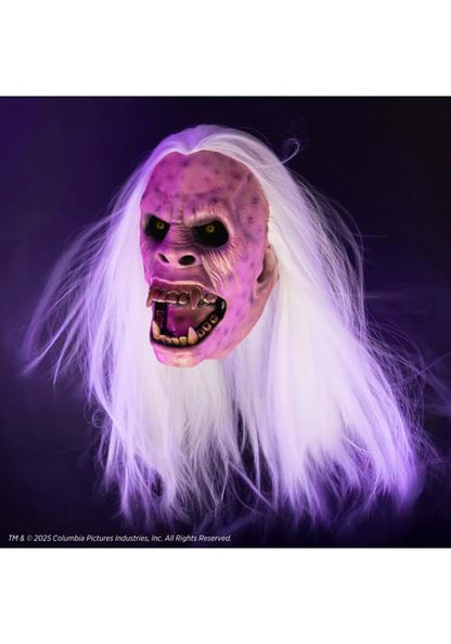 Adult Ghostbusters Library Ghost Premium Mask - US 1110