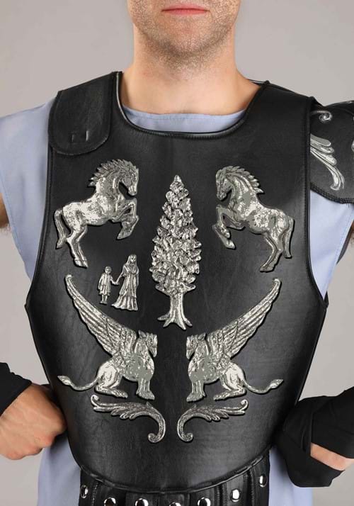 Gladiator Men's Arena Maximus Costume - US 1385