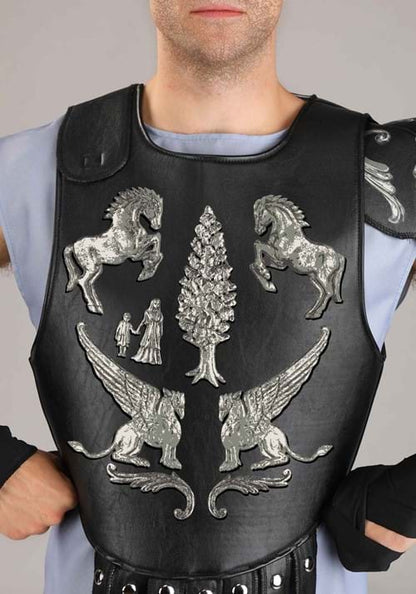 Gladiator Men's Arena Maximus Costume - US 1385