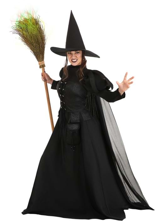 Premium Wayward Witch Adult Costume - US 8144