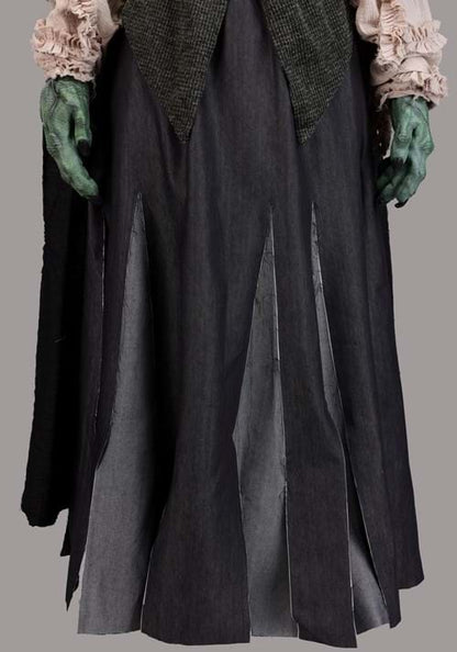 Premium Evil Green Witch Costume for Adults - US 7495