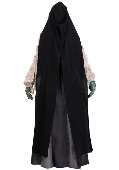 Premium Evil Green Witch Costume for Adults - US 7495