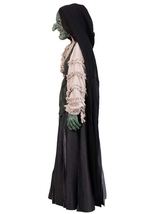 Premium Evil Green Witch Costume for Adults - US 7495