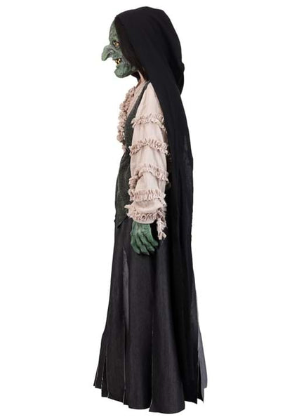 Premium Evil Green Witch Costume for Adults - US 7495