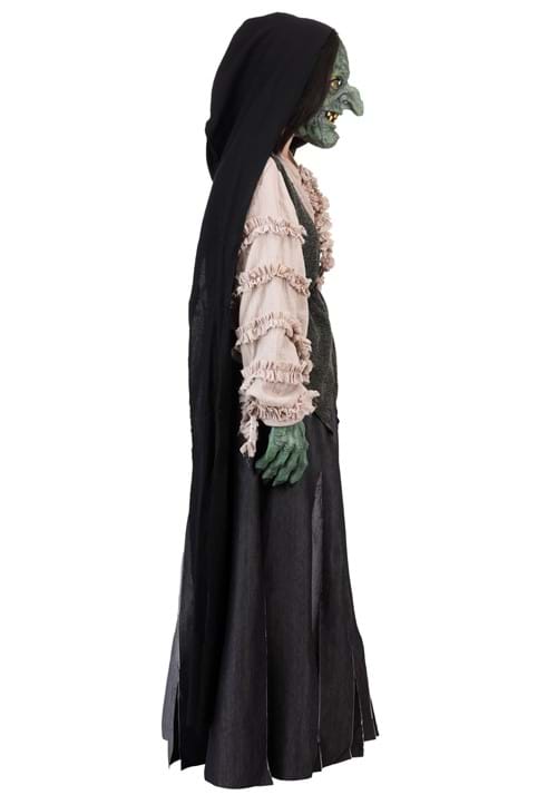 Premium Evil Green Witch Costume for Adults - US 7495