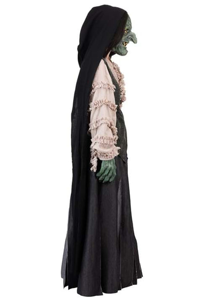 Premium Evil Green Witch Costume for Adults - US 7495
