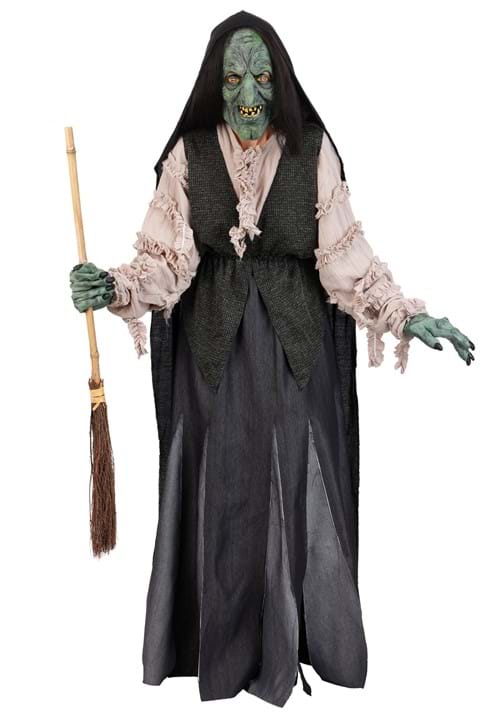 Premium Evil Green Witch Costume for Adults - US 7495