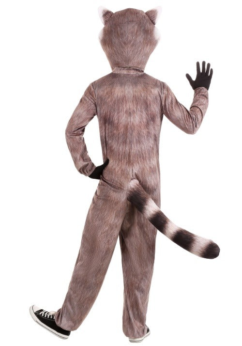 Realistic Raccoon Costume for Adults - US 2002