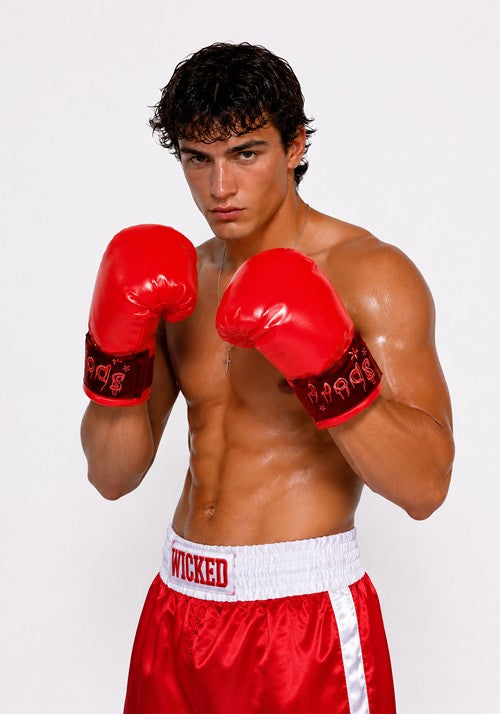Adult Red Costume Boxing Gloves - US 3454