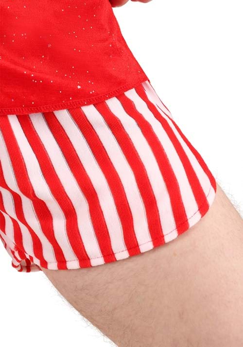 Richard Simmons Adult Costume - US 7901