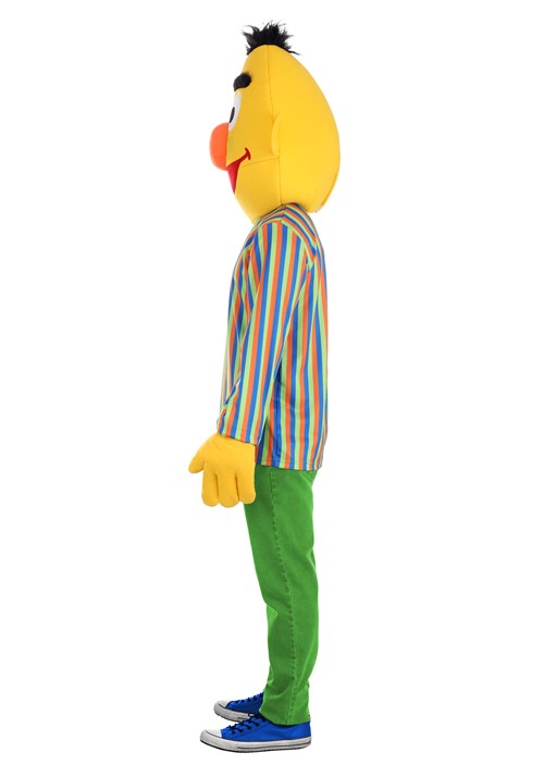Sesame Street Bert Costume for Adults - US 4991