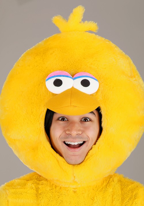 Sesame Street Big Bird Costume for Adults - US 9922
