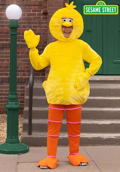Sesame Street Big Bird Costume for Adults - US 9922