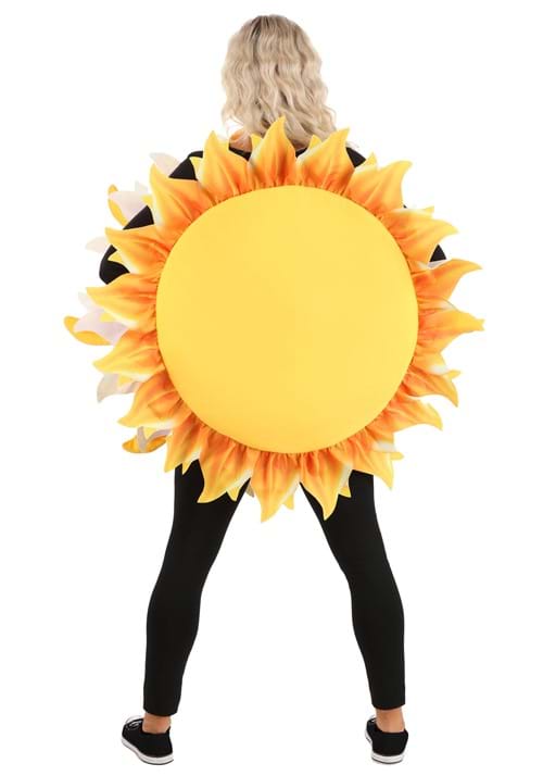 Sun Costume for Adults - US 6296