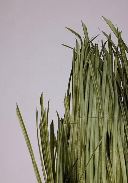 Adult Super Bowl Grass Costume - US 6587