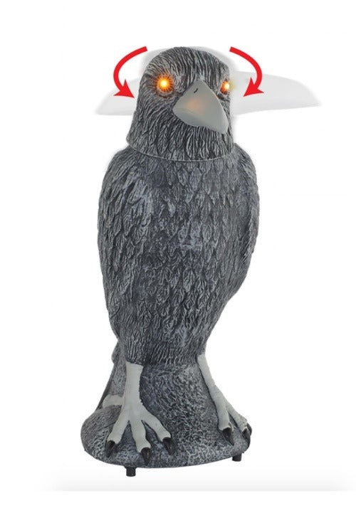 Animated Spooky Raven Décor - US 2308