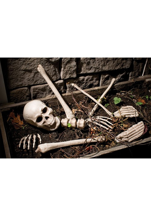 Bag O' Bones Halloween Decoration - US 3866