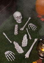 Bag O' Bones Halloween Decoration - US 3866