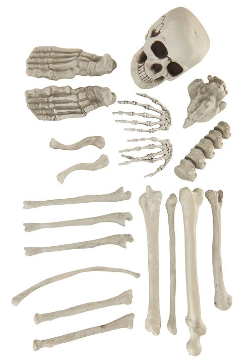 Bag of Skeleton Bones Halloween Decoration - US 4553