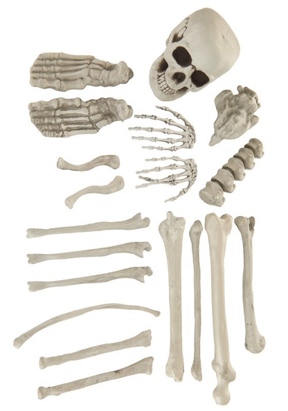 Bag of Skeleton Bones Halloween Decoration - US 4553