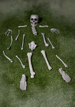 Bag of Skeleton Bones Halloween Decoration - US 4553