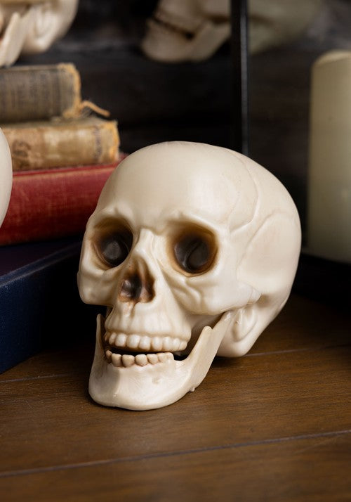 Bag of Skulls with Moving Jaws Halloween Decoration - US 5021