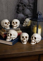 Bag of Skulls with Moving Jaws Halloween Decoration - US 5021