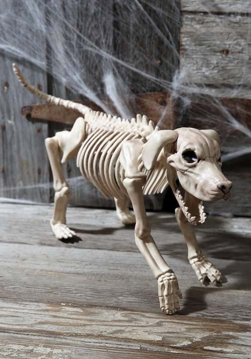 20-Inch Beagle Bonez Skeleton Dog Halloween Decoration - US 0338