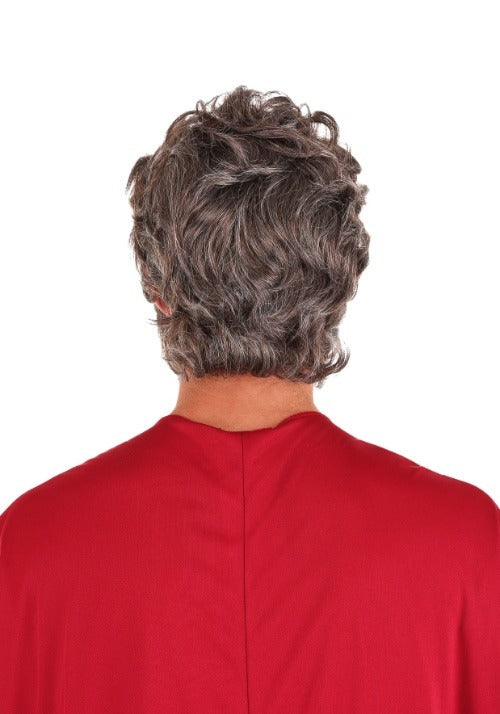 Biblical Moses Adult Costume Wig and Beard - US 8954