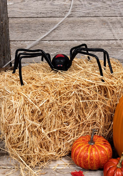 20-Inch Black Widow Spider Prop Decoration - US 1089