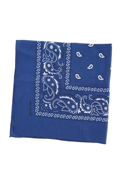 Patterned Blue Bandana - US 1877